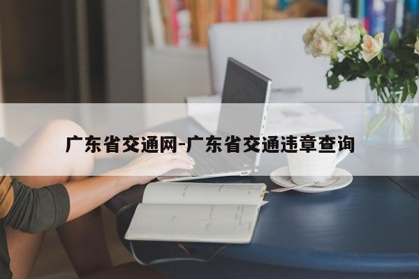 广东省交通网-广东省交通违章查询