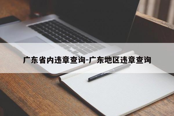 广东省内违章查询-广东地区违章查询